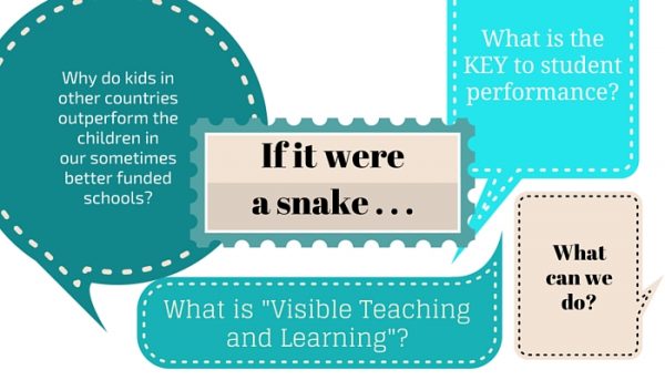 proverbial-snake